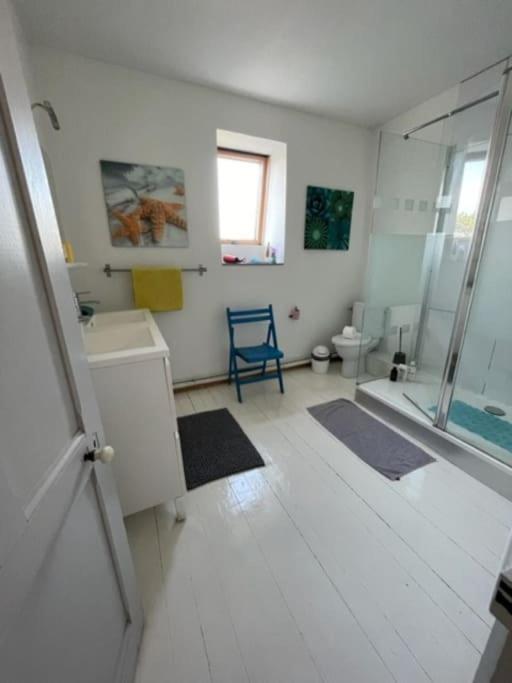 Grande Maison Proche Mer, Centre Vakantiehuis Wimereux